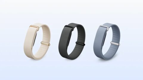 08_fitbitair_05