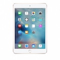 ipadmini3