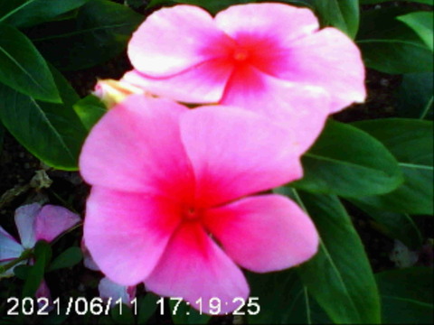 210607_cdc_26_960