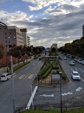 181123_pixel3_12_ズーム06