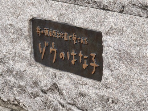 IMG_20250920_100346