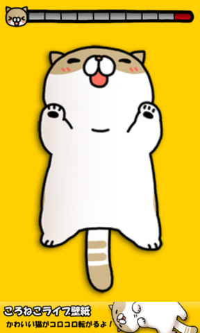 0bef6a03.png