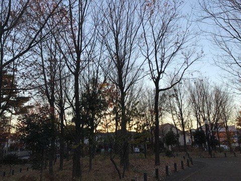09_iphone