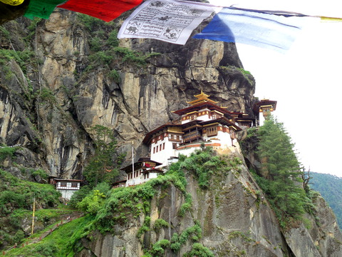 tashi08