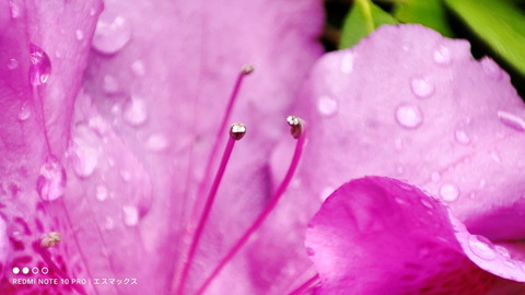 210413_redminote10pro_49b_960