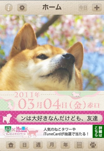 1afa15c4.jpg