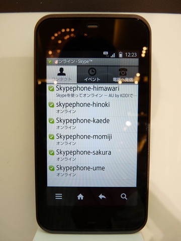 skype_02