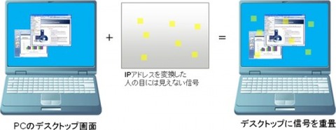 25d00b59.jpg