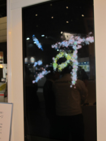 2886e889.jpg