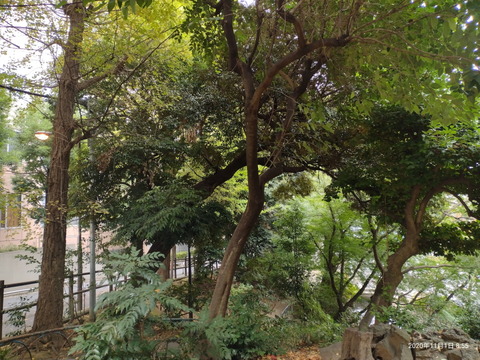 201104_motog9play_24_960