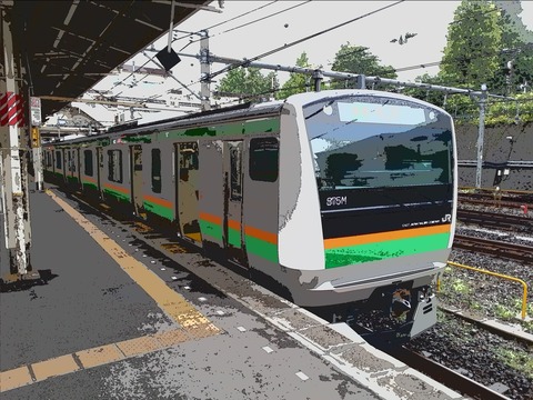 2e13f9c0.jpg