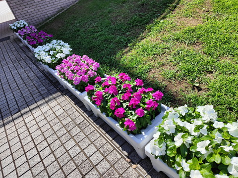 210808_oppofindx3pro_pic_02_2000