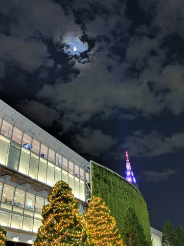 181123_pixel3_13_夜景03