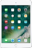 ipadmini4