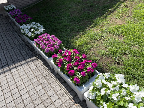 210808_iphone12promax_pic_02_2000