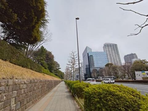 P_20250324_101606