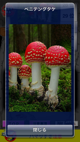 4622f517.png