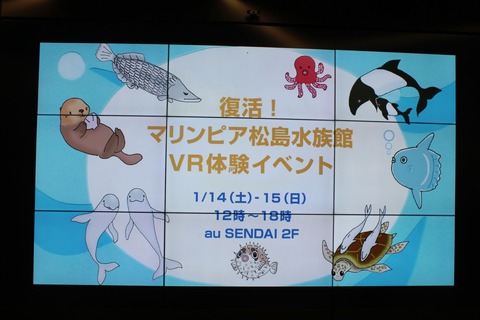 vr01
