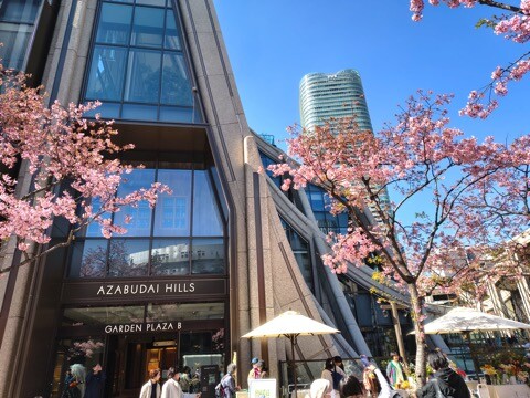 IMG_20260221_124644673_HDR