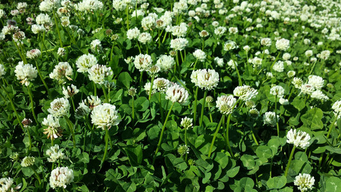 20130503_145859