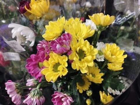 IMG_20220306_012815