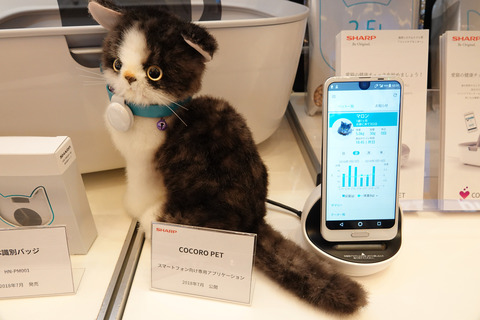 fuband-petcare-012