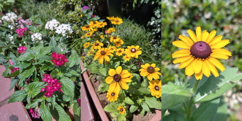 210808_aquosr6_pic_01_2400