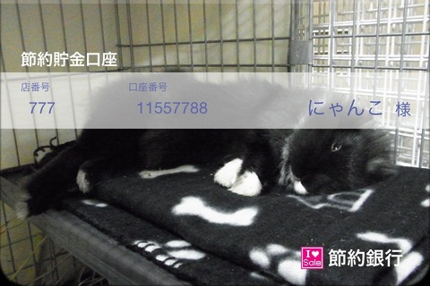 5a714531.jpg
