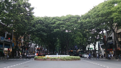 3_SH06E