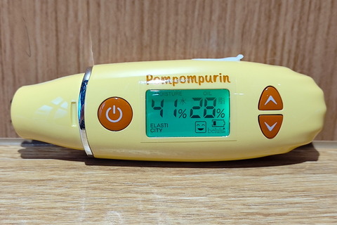 210831_belulu_skinchecker_pompompurin_14_960