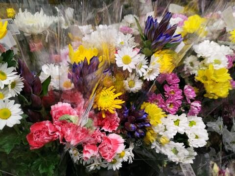 P_20201028_054325