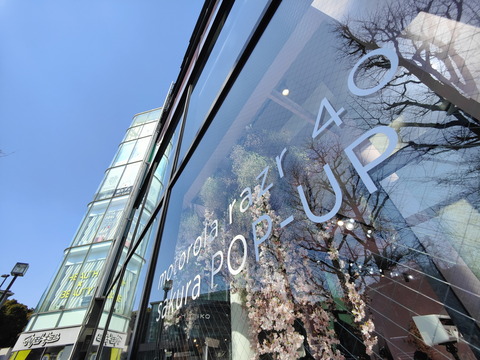 240315_motorola_popup_sakura_16_1200