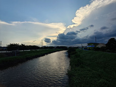 08