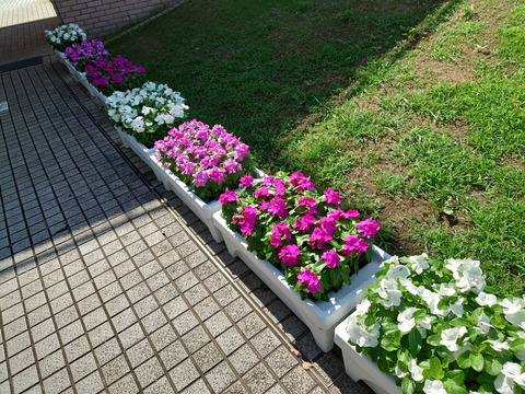 210808_xperia1iii_pic_02_2000