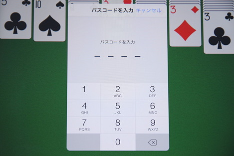 ios_accessguide_004