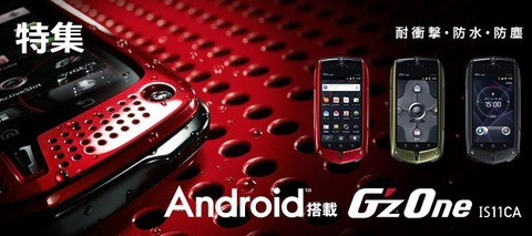 87130cb3.jpg