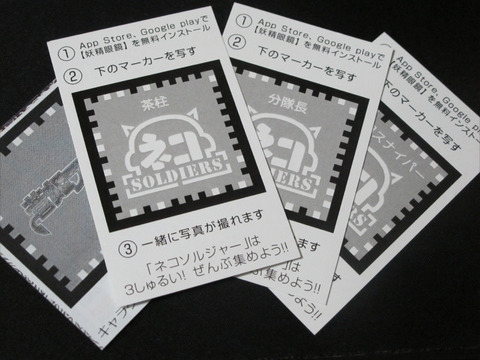 8773b09c.jpg