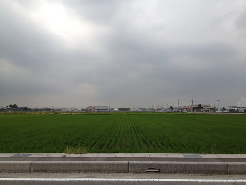 90f18283.jpg