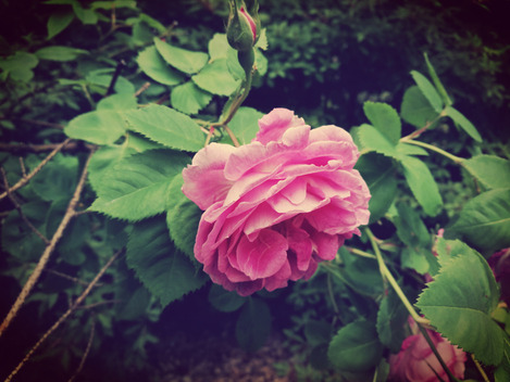p9_sample_003