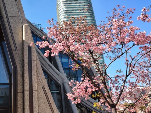 IMG_20260221_124648447_HDR