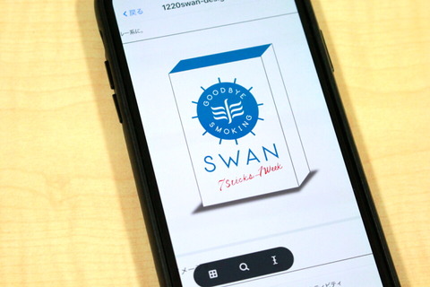 200110_swan_06_960