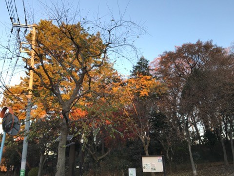 08_iphone
