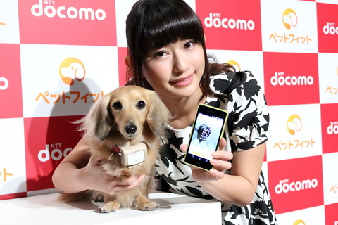 petfit_top