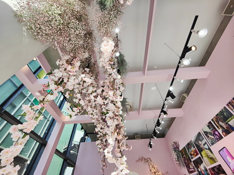 240315_motorola_popup_sakura_07_1200