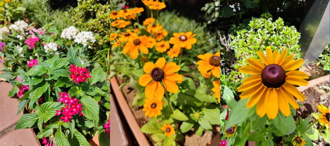 210808_mi11ultra_pic_01_2700
