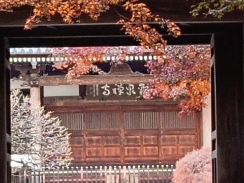 IMG20250110144622