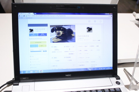 petfit_09