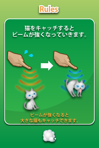 写真 (7)