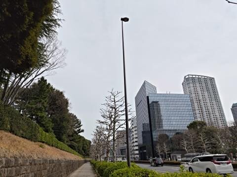 P_20250324_101600