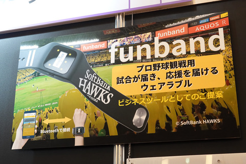 fuband-petcare-001